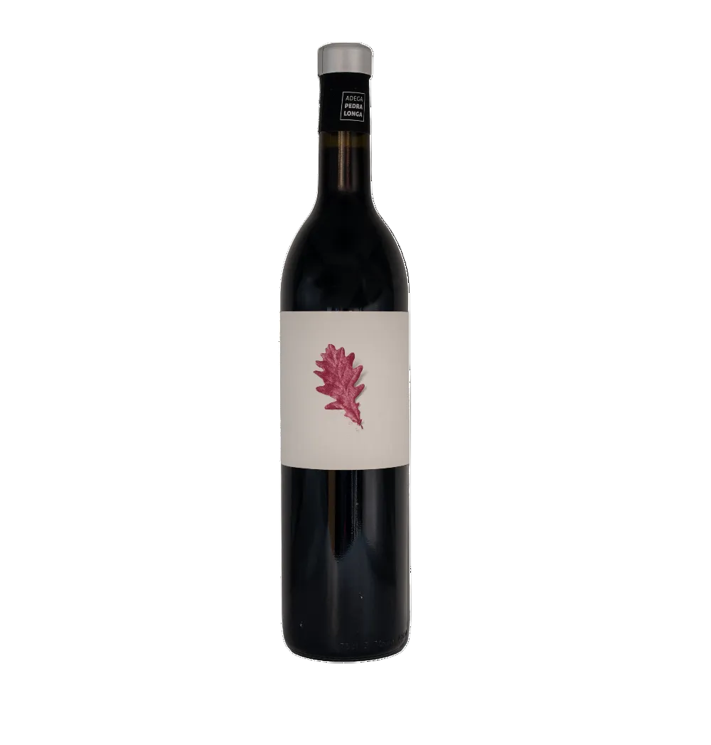 Spanish red wine affordable UK delivery Mencia Rias Baxias Adega Pedralonga
